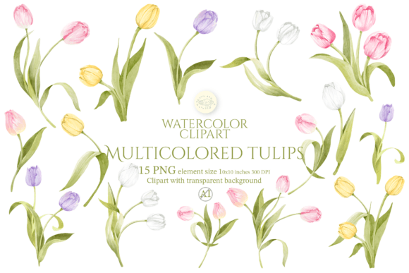 Download Watercolor Multicolored Tulips Clipart - Multicolor Collection